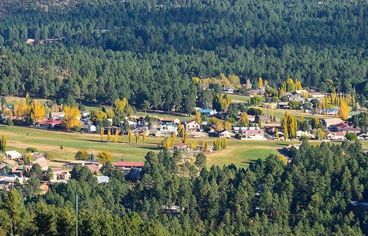 An aerial view of a small town surrounded by trees.