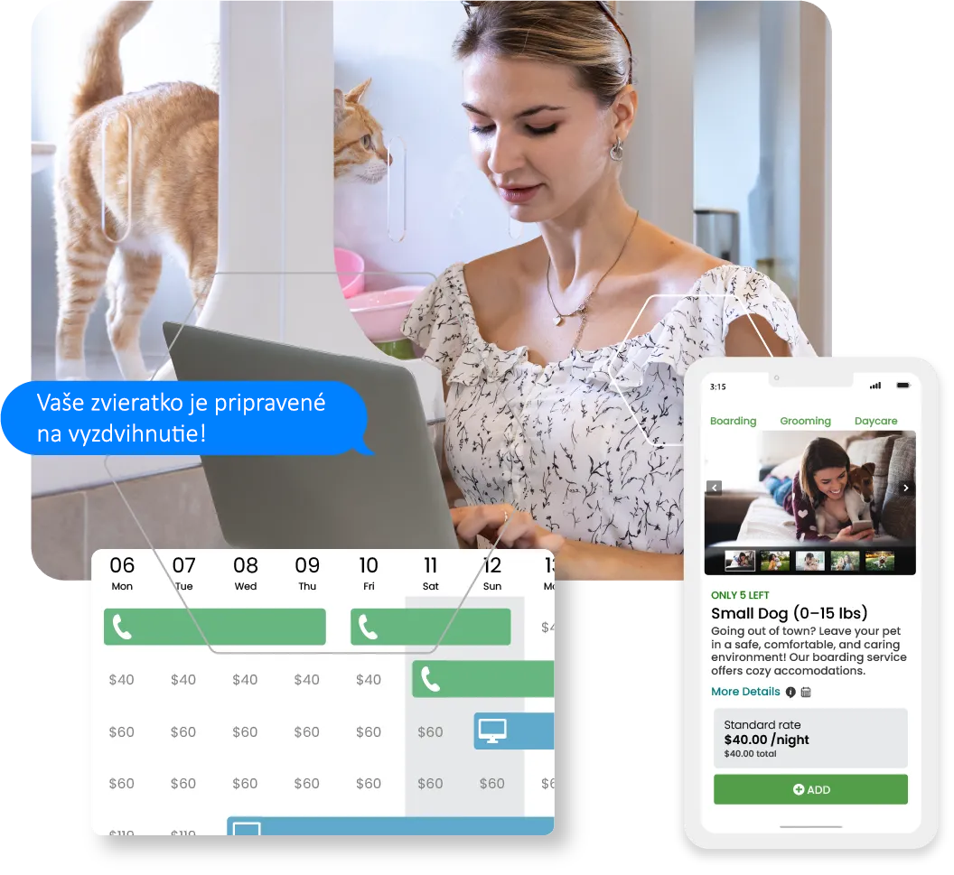 A woman is using a laptop and a cat is behind her.