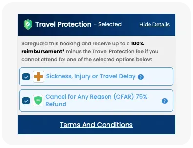 A screenshot of a travel protection page on a website.