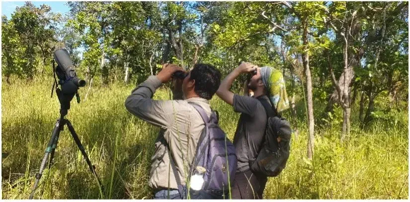 people Spotting the Giant Ibis in the forest of cambodia via svc tour