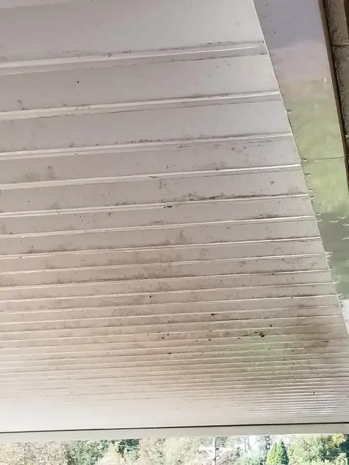 White corrugated metal ceiling with dark smudges, viewed from below.