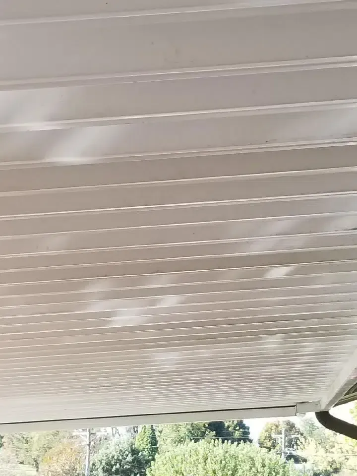 White corrugated ceiling with sunlight filtering through, trees visible below.