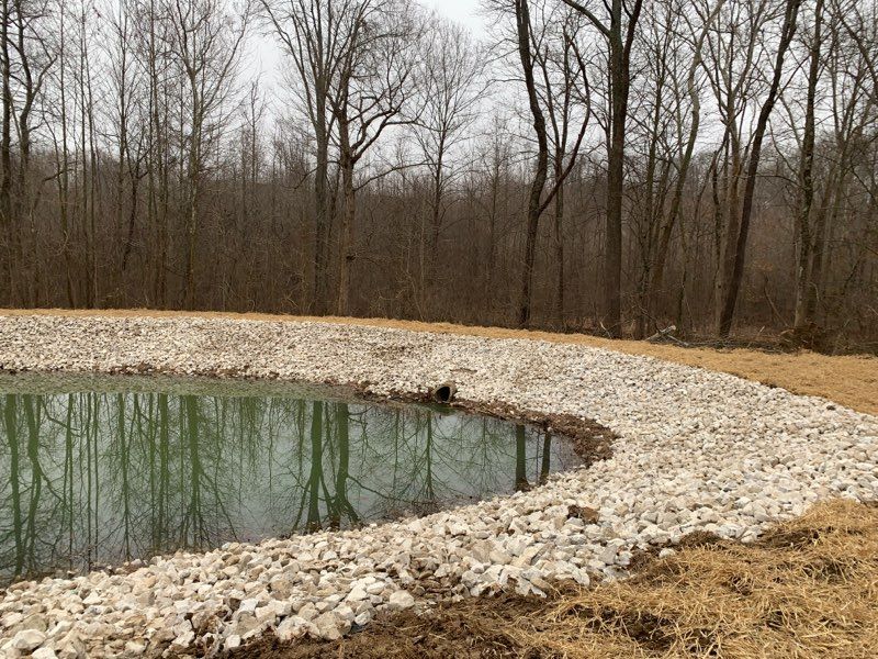 A pond with a stone border reflects a tree-lined forest under an overcast sky.