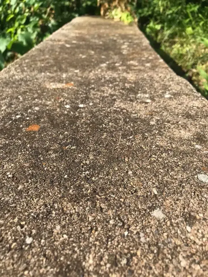 Concrete wall outdoors, close-up perspective, with vegetation in the background.