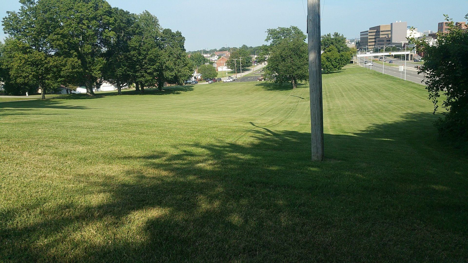 Green grassy hill with trees, utility pole, and buildings in the background on a sunny day.