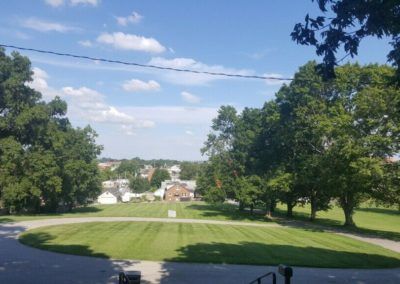 Green park with trees and buildings under a blue sky.