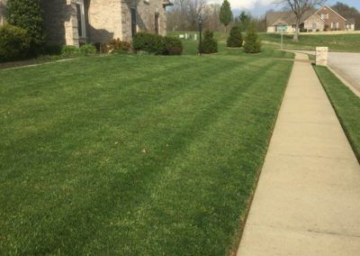 Green, striped lawn next to a concrete sidewalk, with a house in the background.