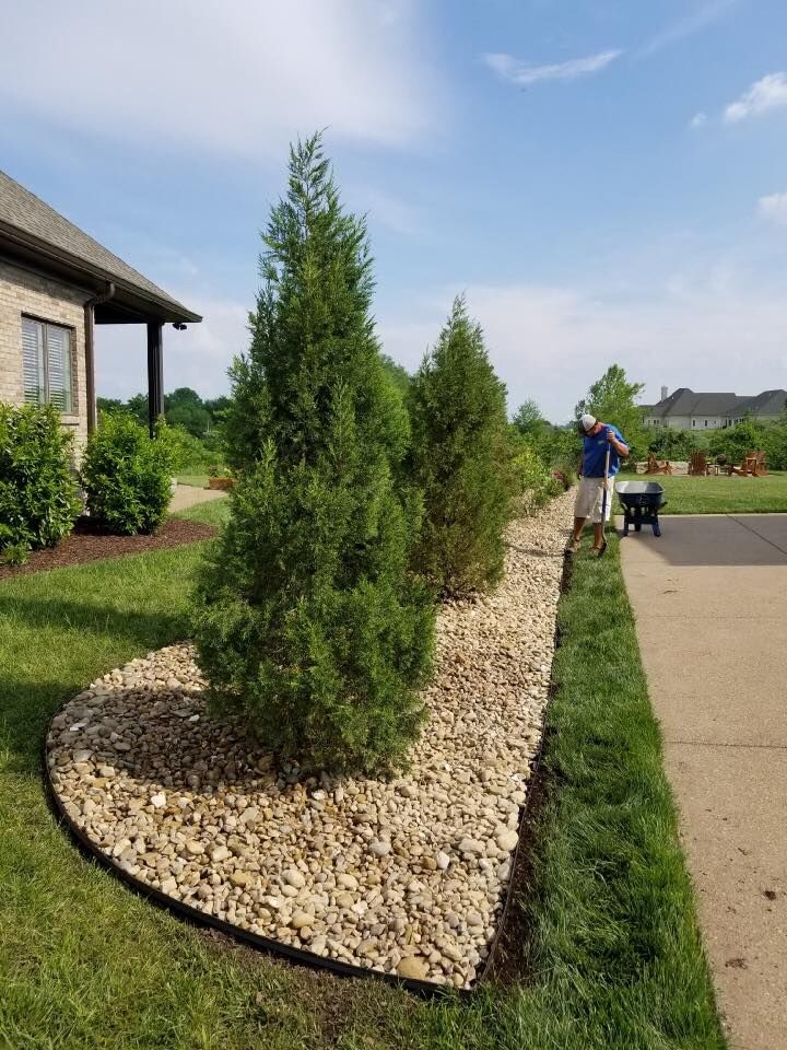 Man tending a landscaped rock bed with evergreen trees by a driveway.