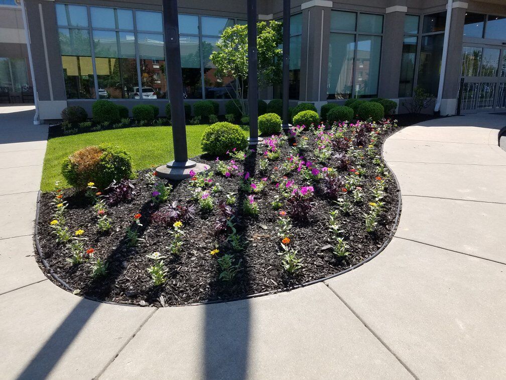 Flower bed with purple and orange flowers, green bushes, and black mulch in front of a building.