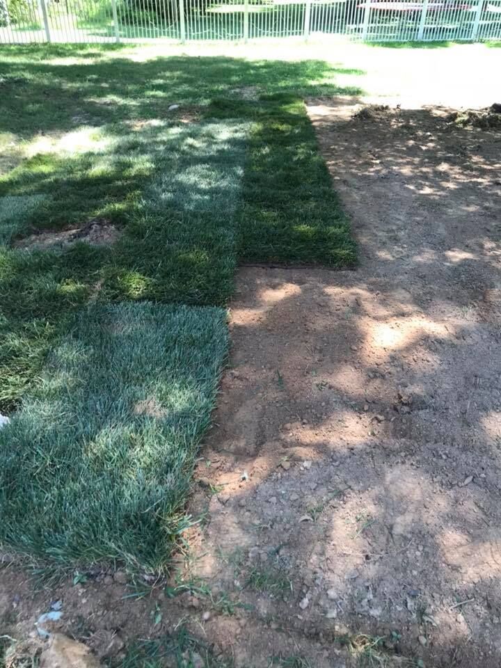 Laying sod: Green turf next to bare dirt.  In a yard near a white fence.