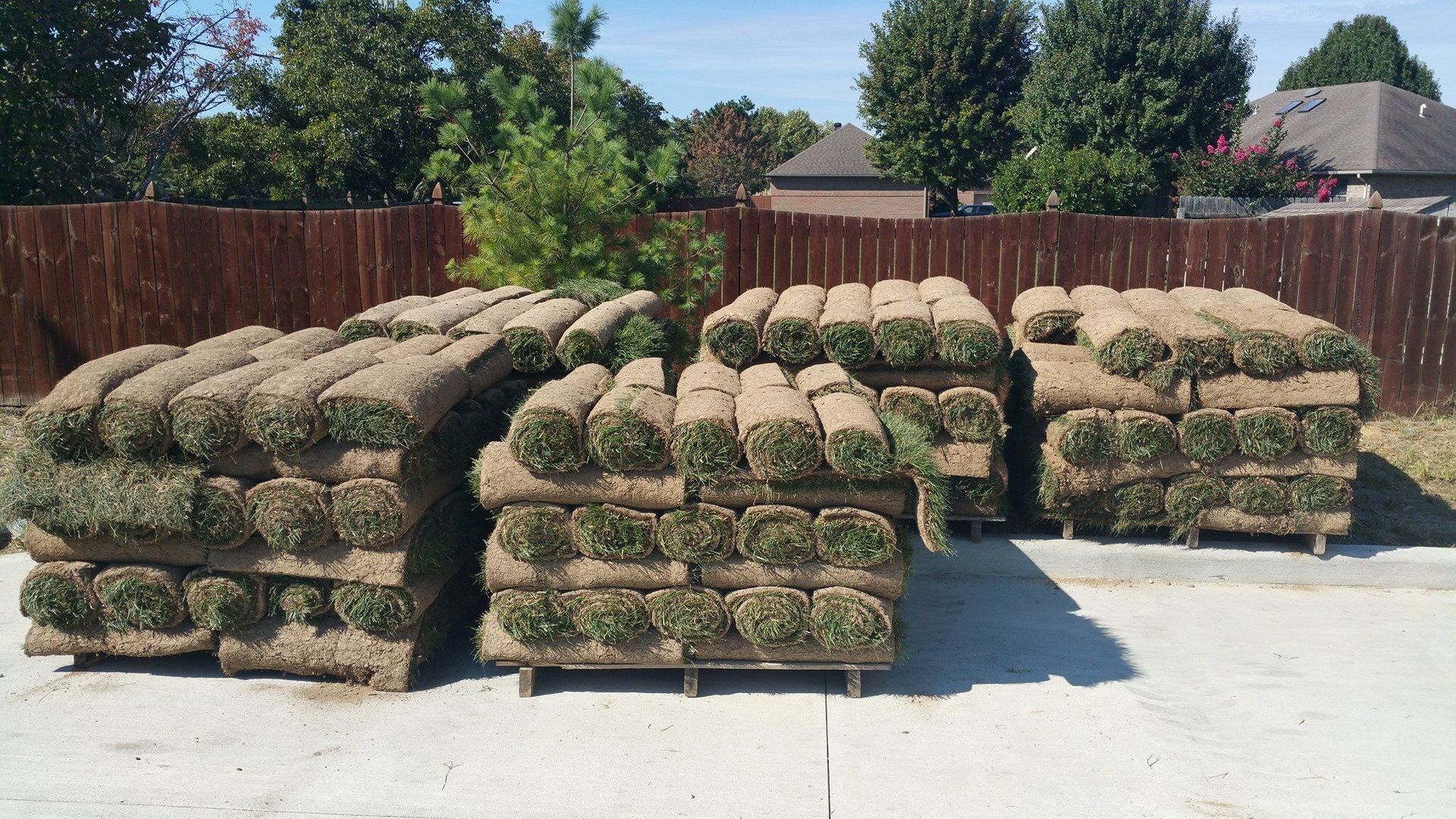 Stacks of rolled sod on pallets, outdoors near a fence and trees, under a bright blue sky.