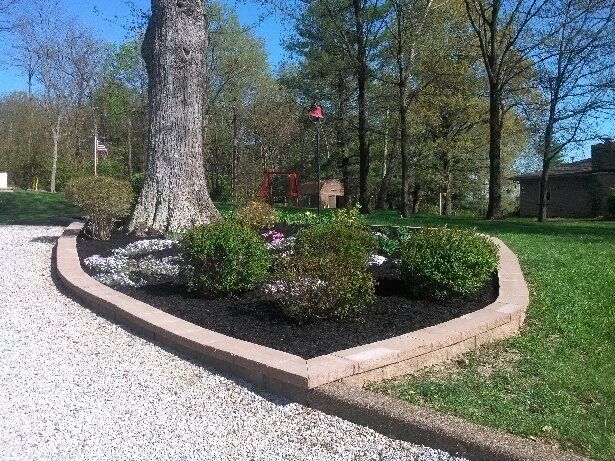 Landscaped garden bed with shrubs, mulch, and stone border near a large tree on a sunny day.