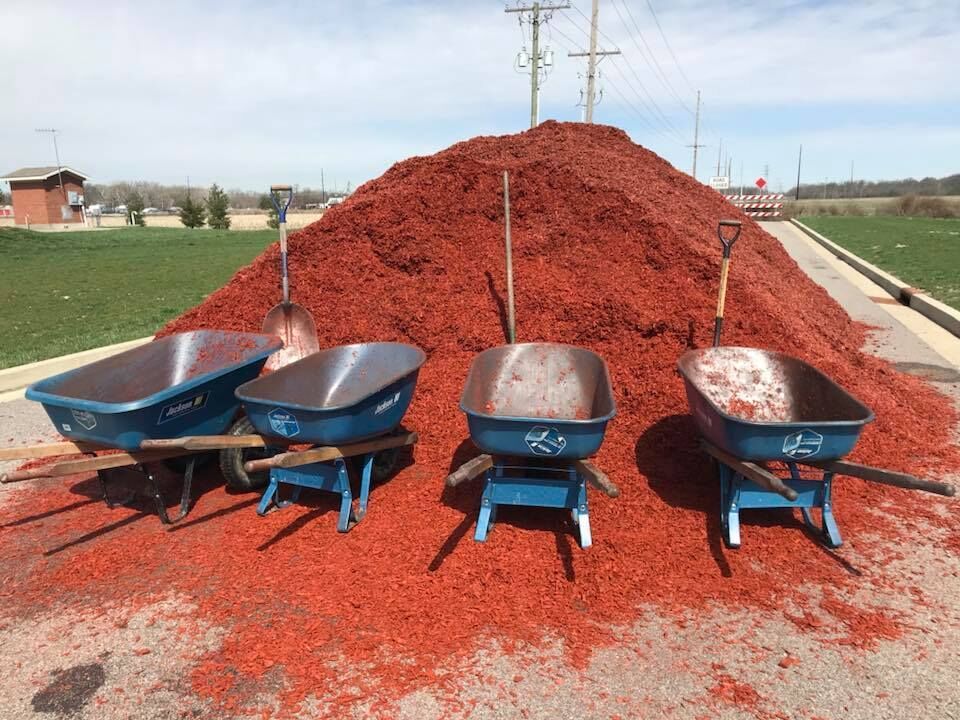 Four blue wheelbarrows near a large pile of red mulch with shovels in the mulch.