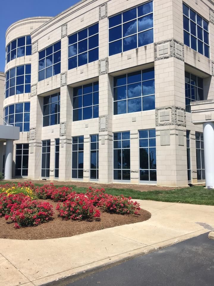 A beige building with many blue-tinted windows reflecting a cloudy sky, and red rose bushes in the foreground.