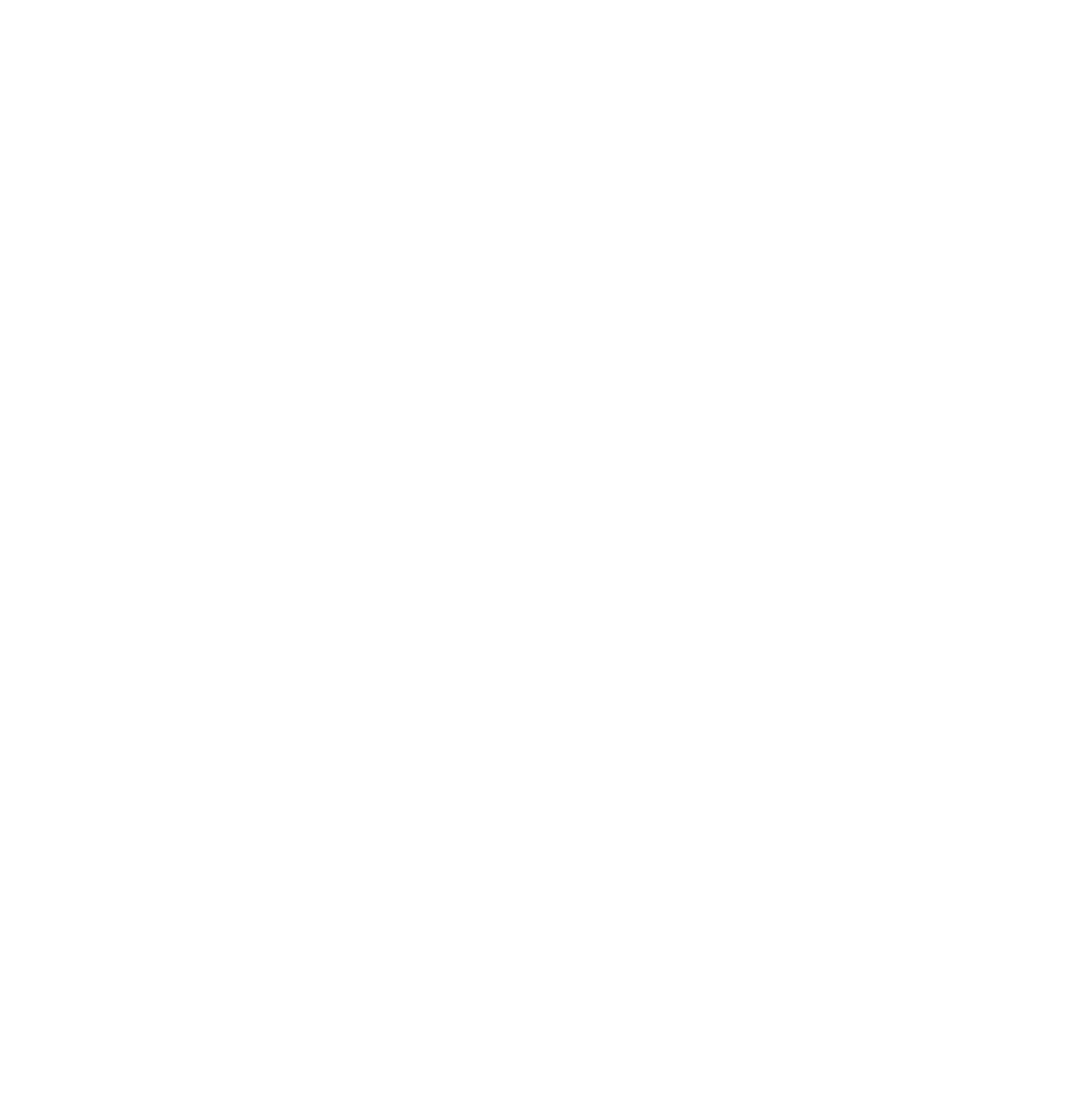 Natural State Printing Screen Printing Logo from Farmington Arkansas