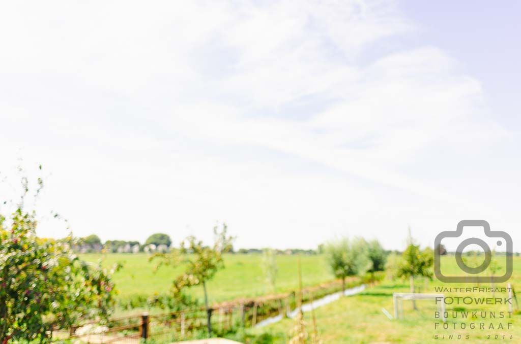 Green field under a blue and white sky. Small trees and wooden fence in the foreground.
