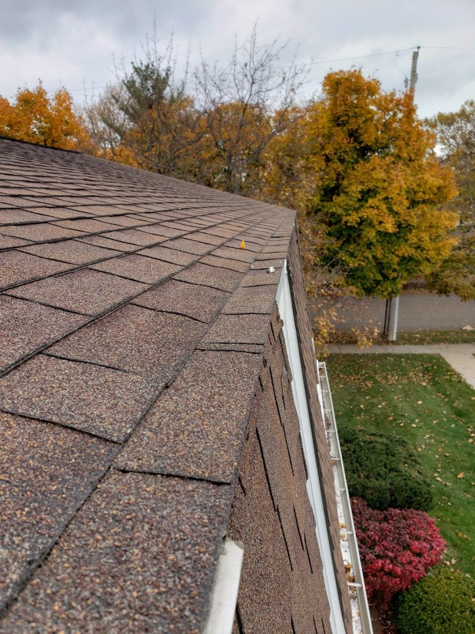 A close up of a roof with a gutter and trees in the background.