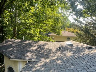 A house with a roof that is surrounded by trees.