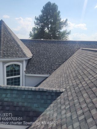 The roof of a house with a tree in the background.
