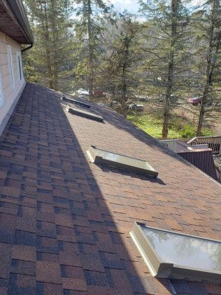 A roof with skylights on it and trees in the background.