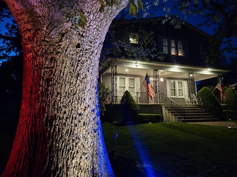 Tree illuminated with red, white, and blue lights in front of a house decorated with American flags at night.