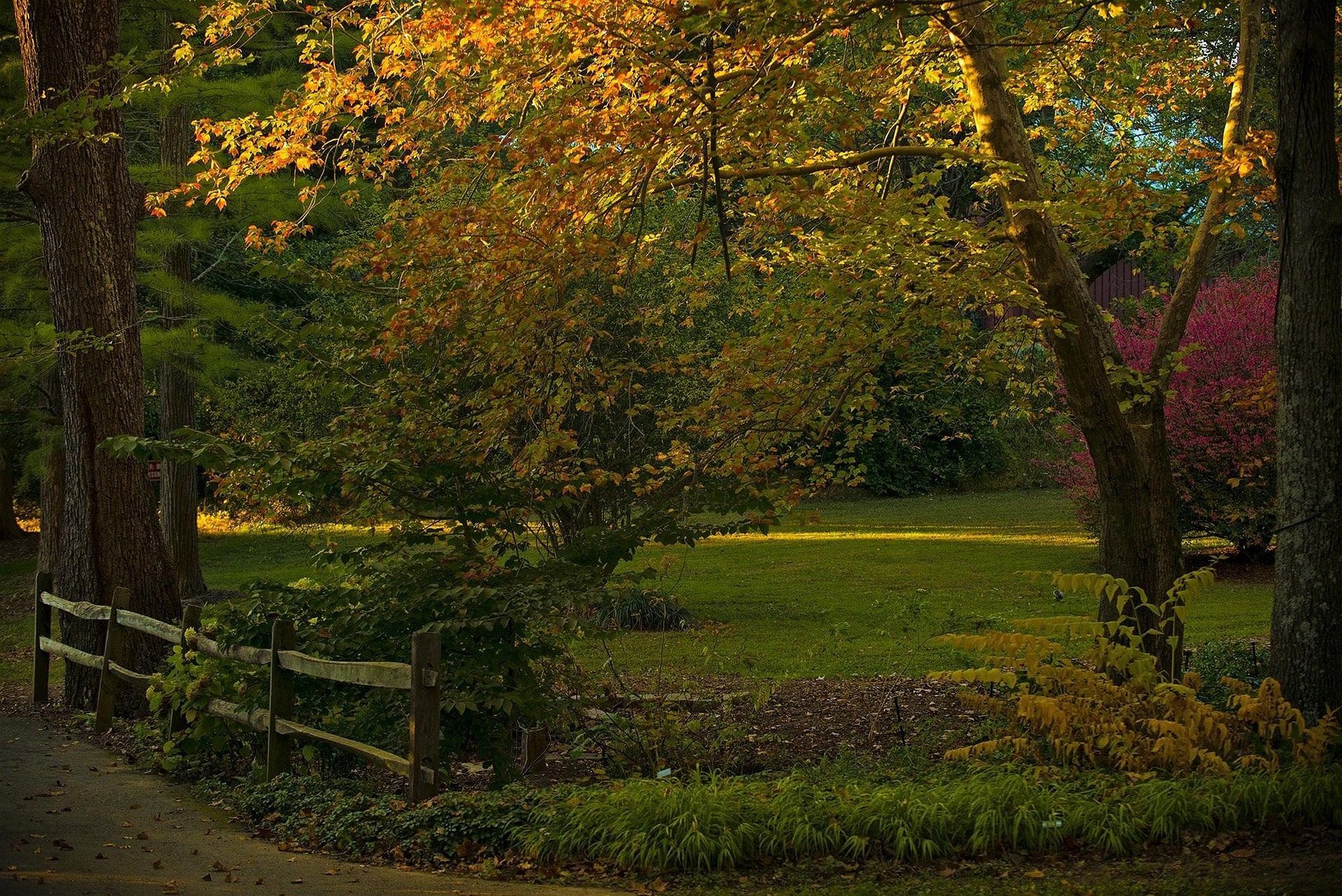 A person walks along a path beside a canal lined with trees displaying vibrant autumn colors reflected in the water.