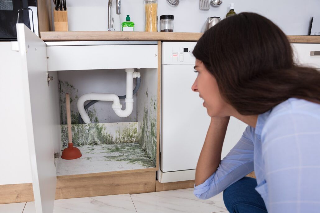 Young,Woman,Looking,At,Mold,In,Cabinet,Area,In,Kitchen