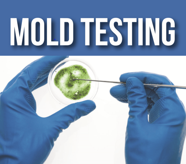 mold testing south florida