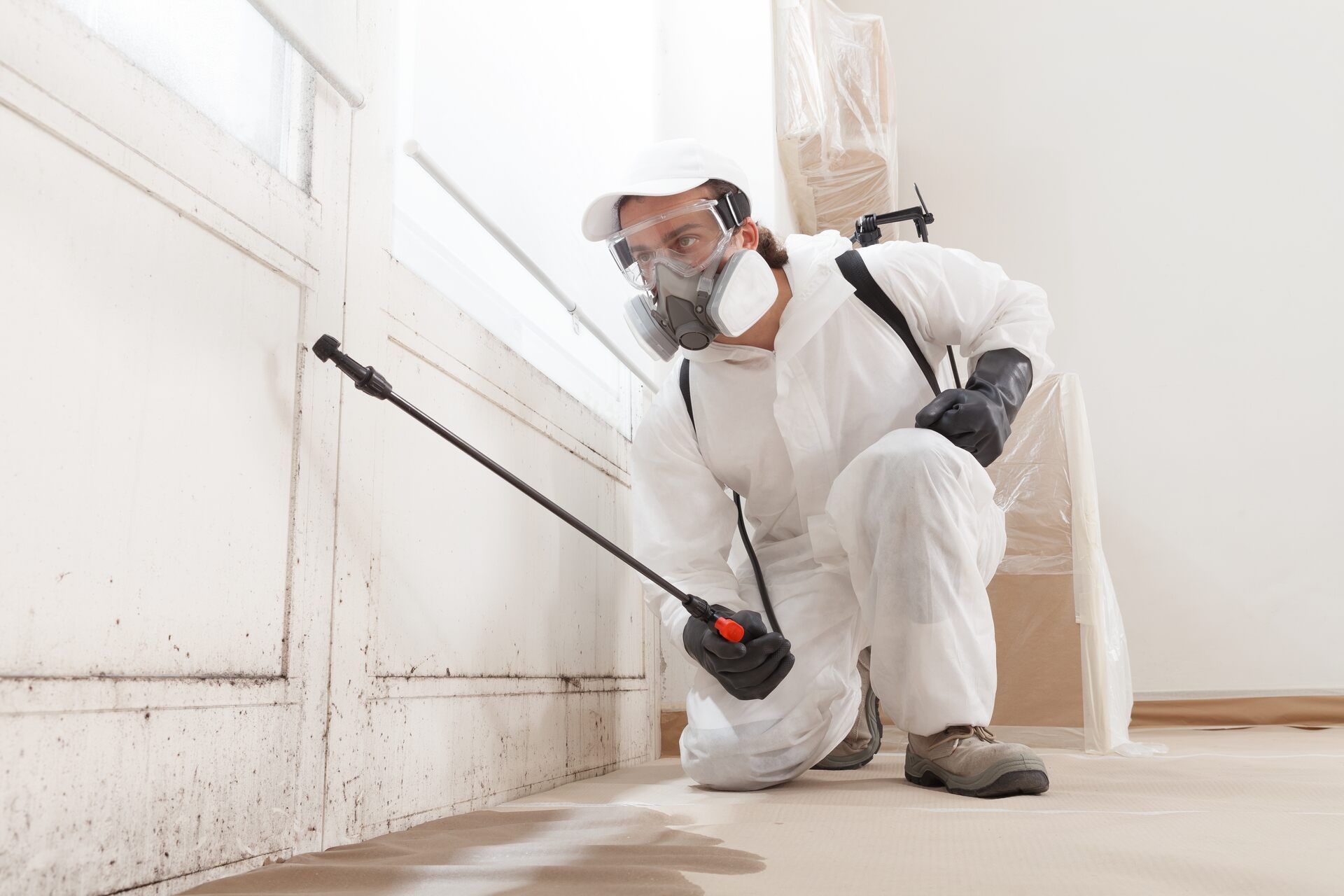 Mold Removal vs Mold Remediation: Key Differences - GAI