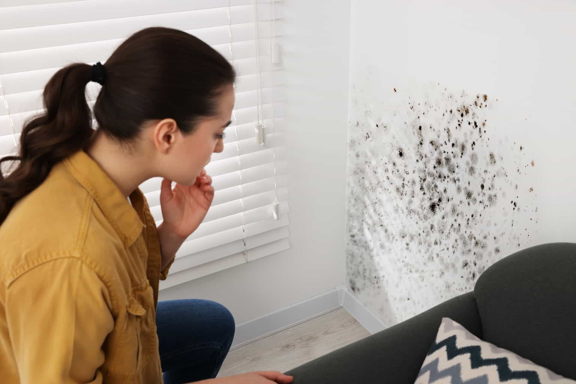 Warning Signs That Indicate You Have Toxic Mold Illness - Guardian Angel Inspections