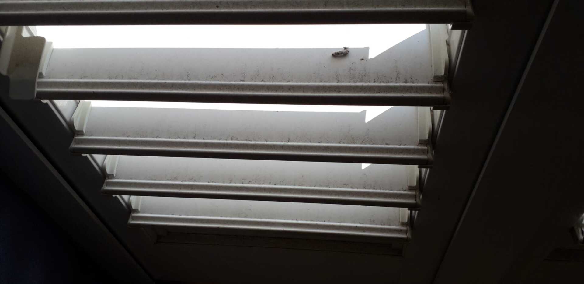 Lavaggio professionale dei vetri di una finestra Velux