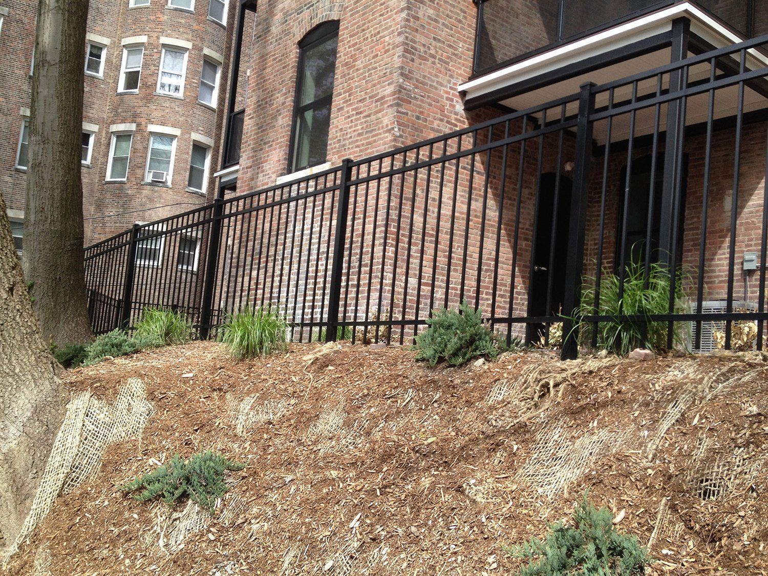 Echelon Majestic 3-Rail