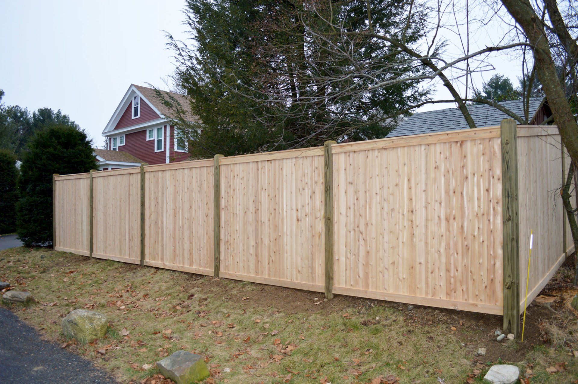 Board Fencing