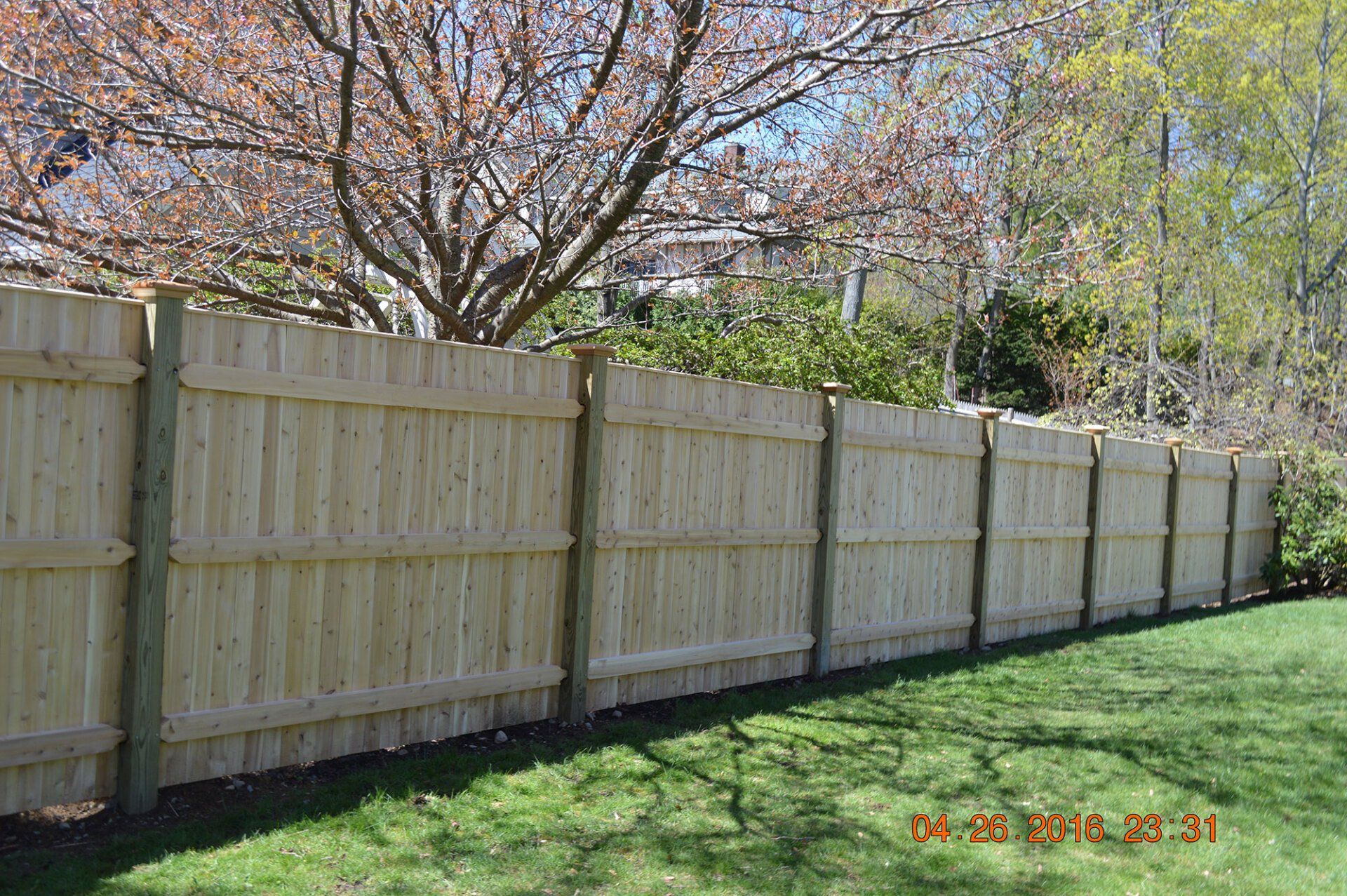 Board Fencing