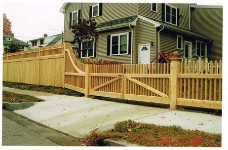 Four-foot Chestnut Hil