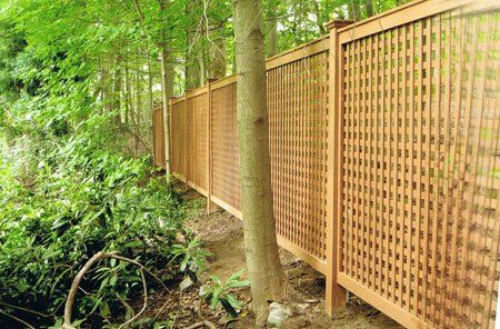 Six-inch by twelve-inch English lattice