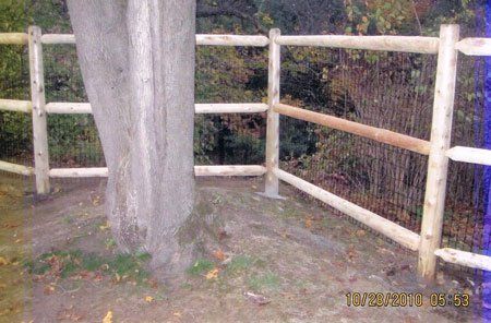 Five-foot post & rail with two-inch by four-inch welded wire