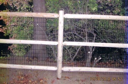Five-foot post & rail with two-inch by four-inch welded wire