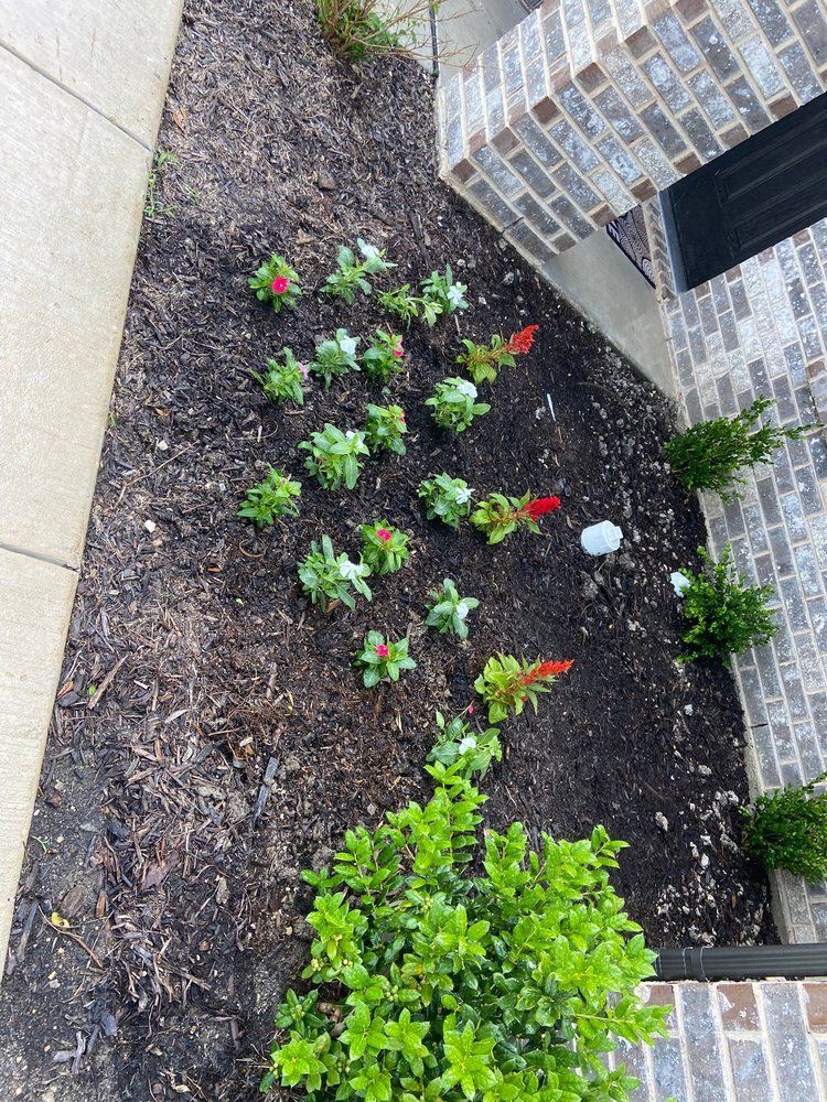 A garden with flowers and shrubs in front of a brick building.