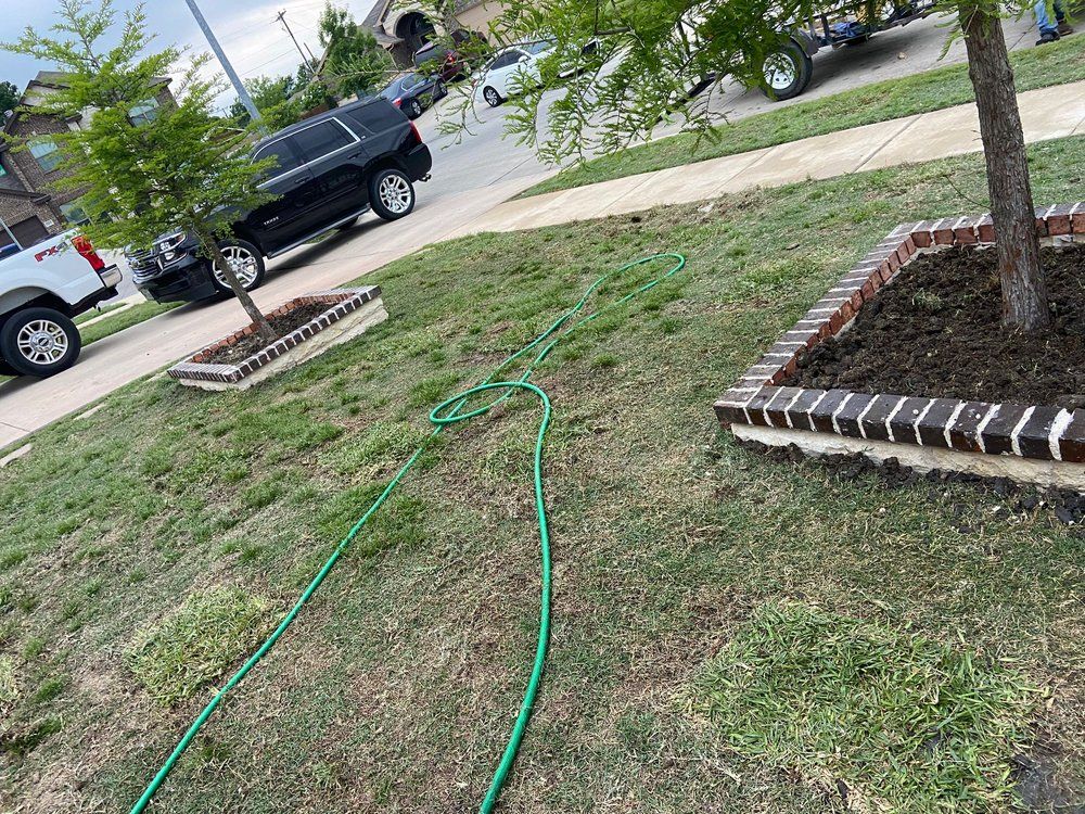 A green hose is laying in the grass next to a tree.