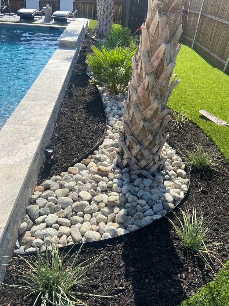 A palm tree is surrounded by rocks and plants next to a pool.