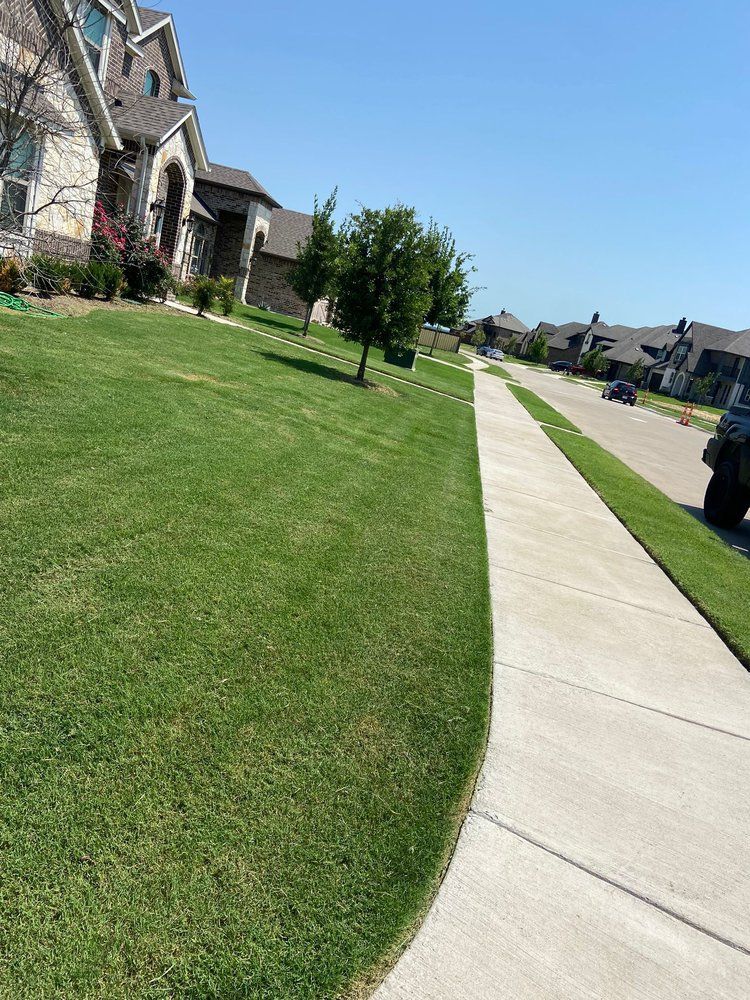 A sidewalk leading to a house with a lush green lawn.