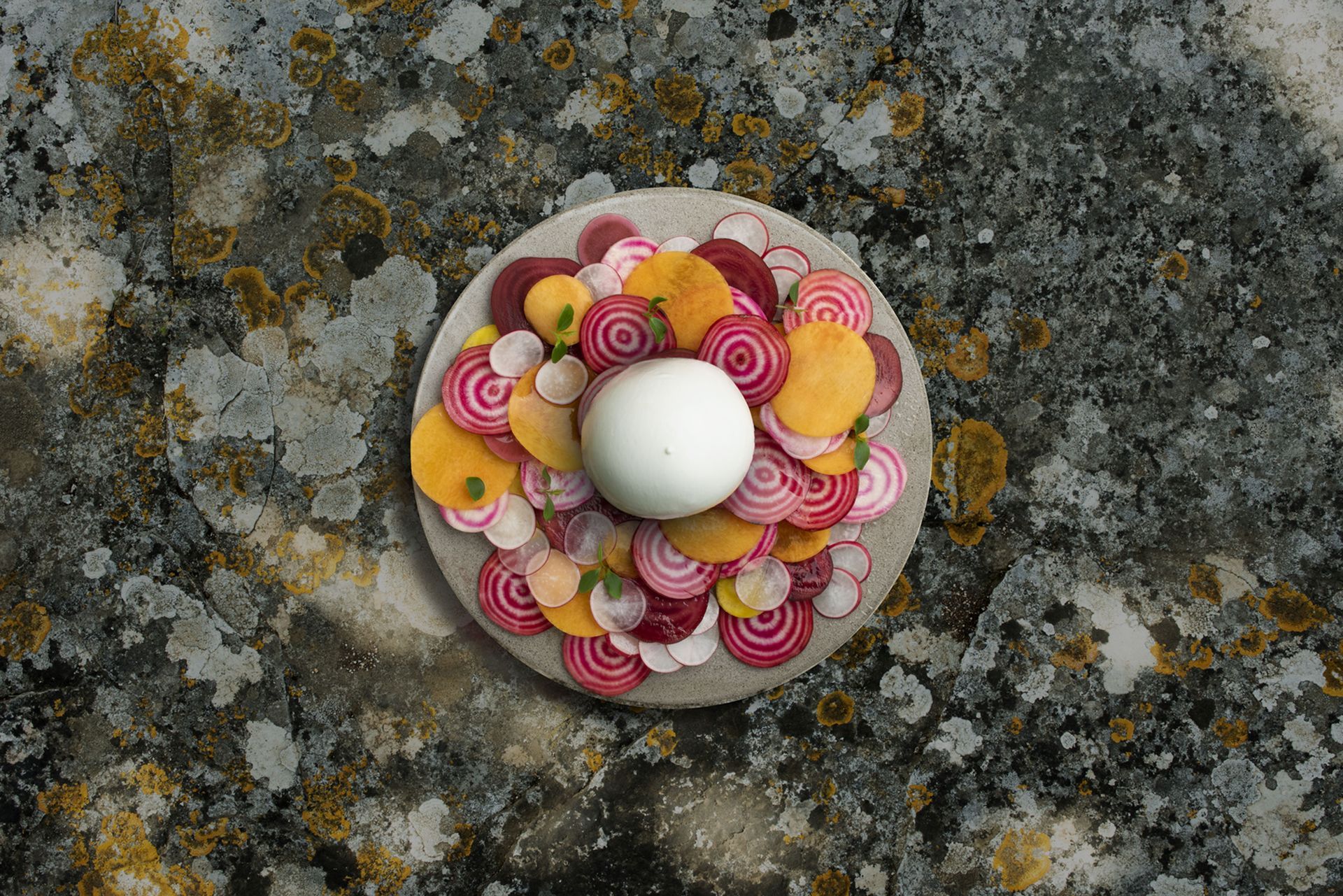 Un piatto gourmet con un centro a forma di sfera bianca, circondato da barbabietole affettate e verdure dorate su pietra ruvida.