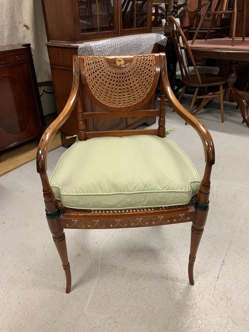 Stunning Hand Painted Mahogany Bergere Elbow Chair