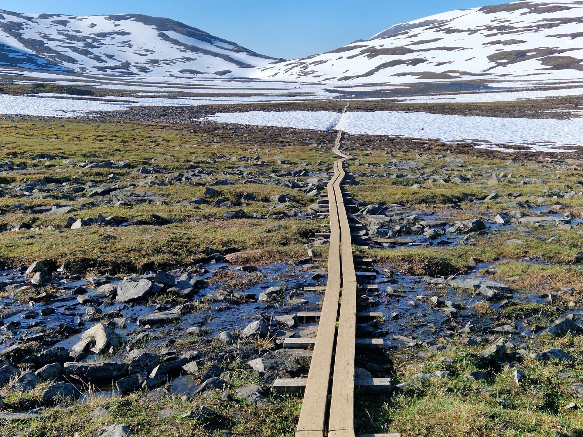 rust vinden in de natuur