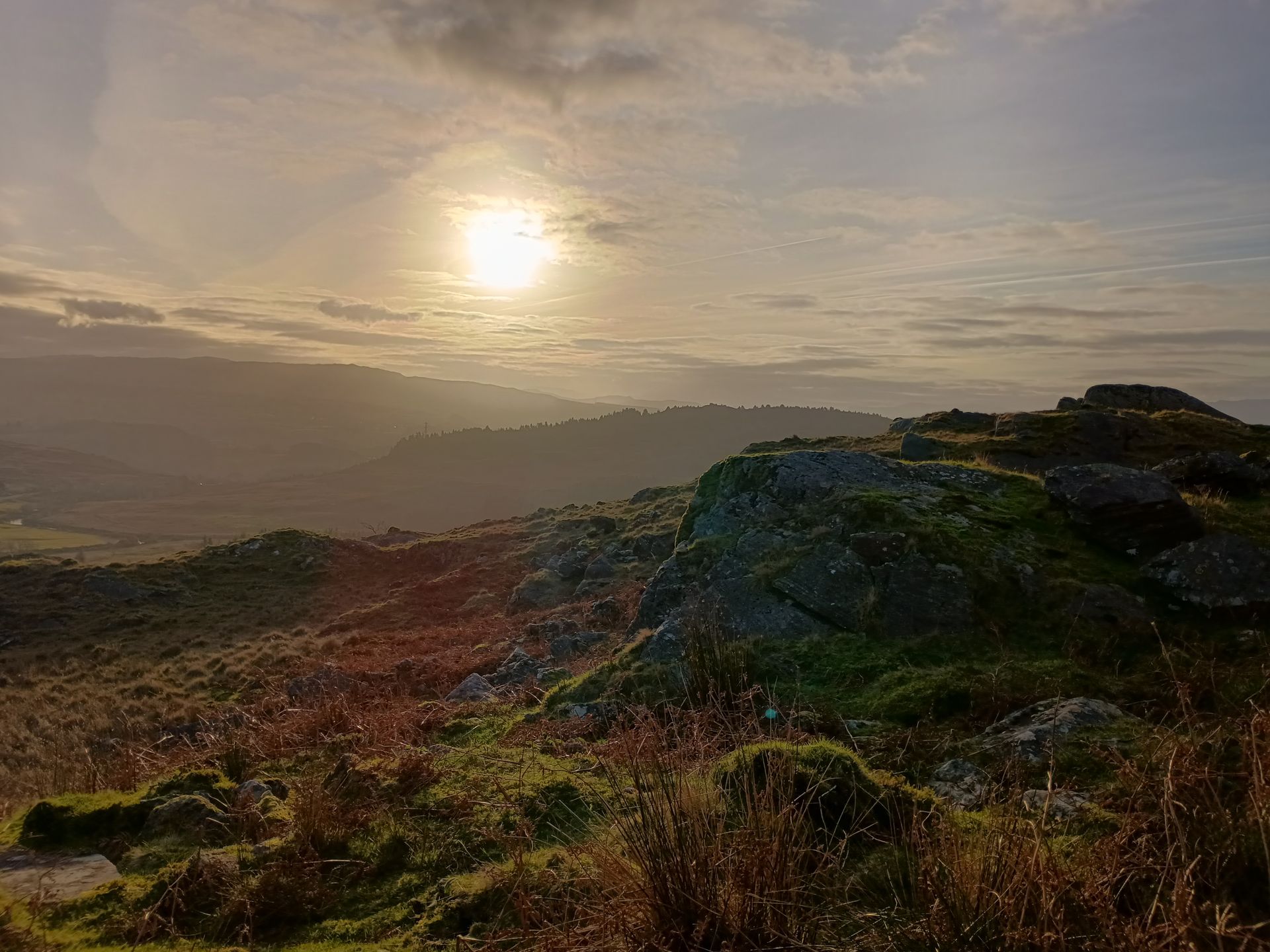 Mindmaps en schrijfmaterialen voor mijn boek over leven als autistische vrouw