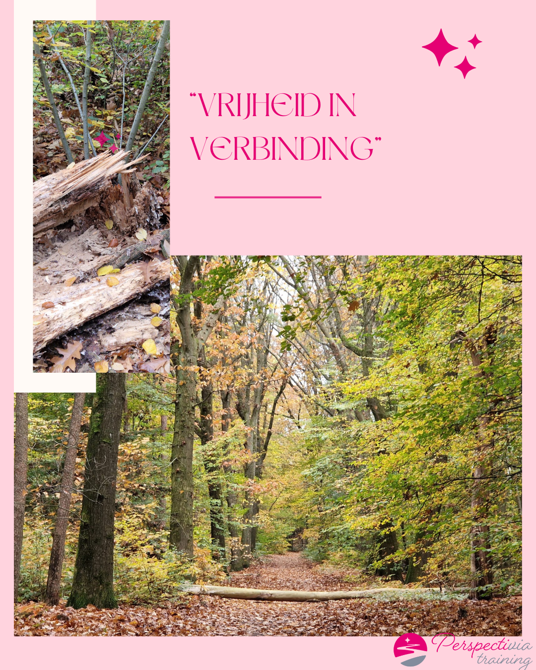 vrijheid in verbinding