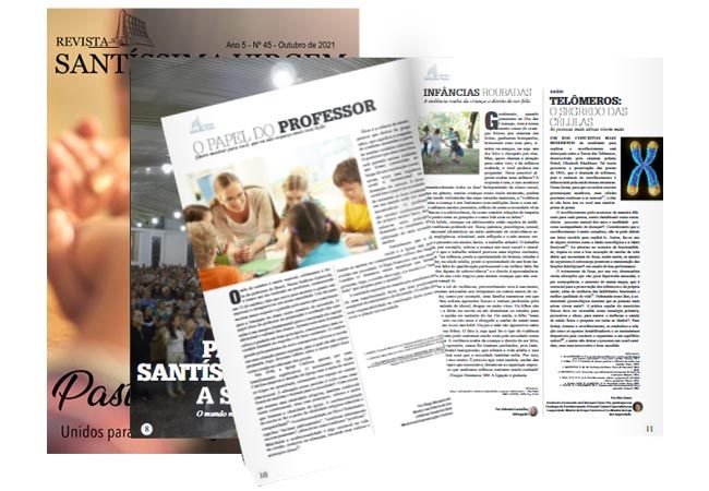 Revista Santíssima Virgem