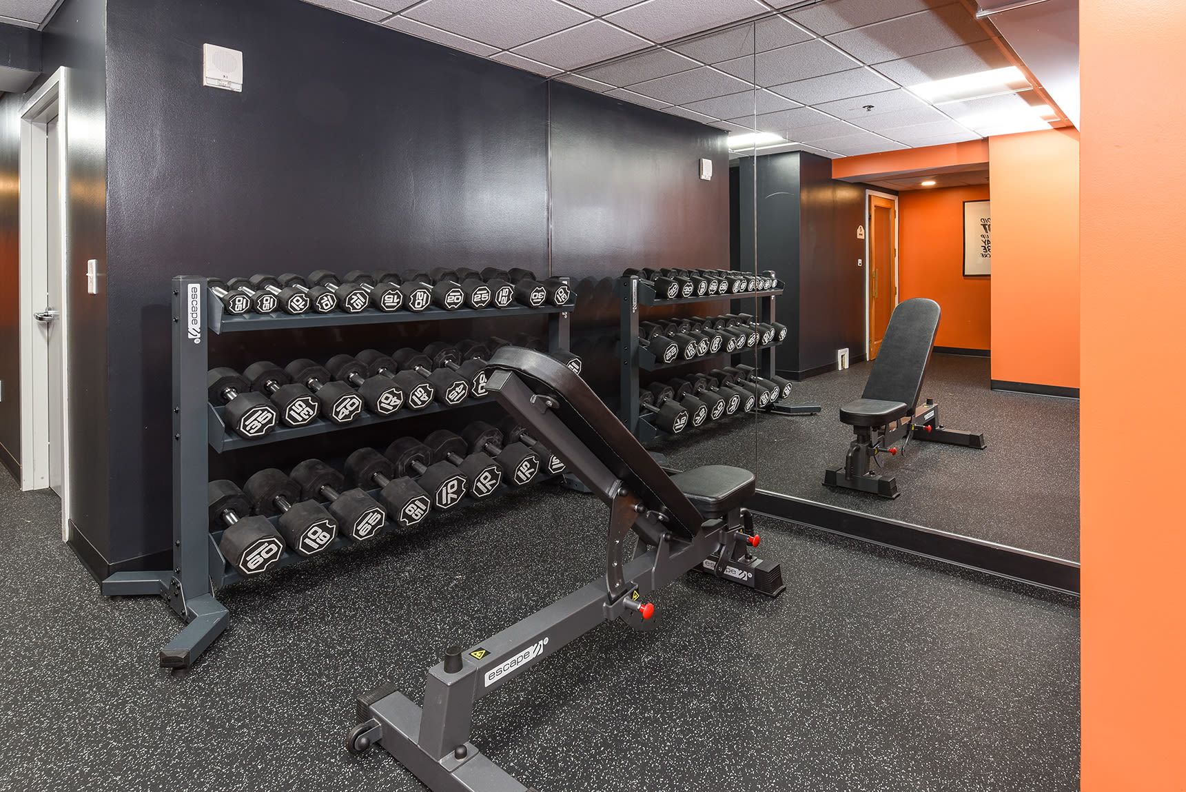 Weight room with dumbbell racks, adjustable bench, and full-length mirror. Black walls, dark flooring at Glenmont Station in Silver Spring, MD.