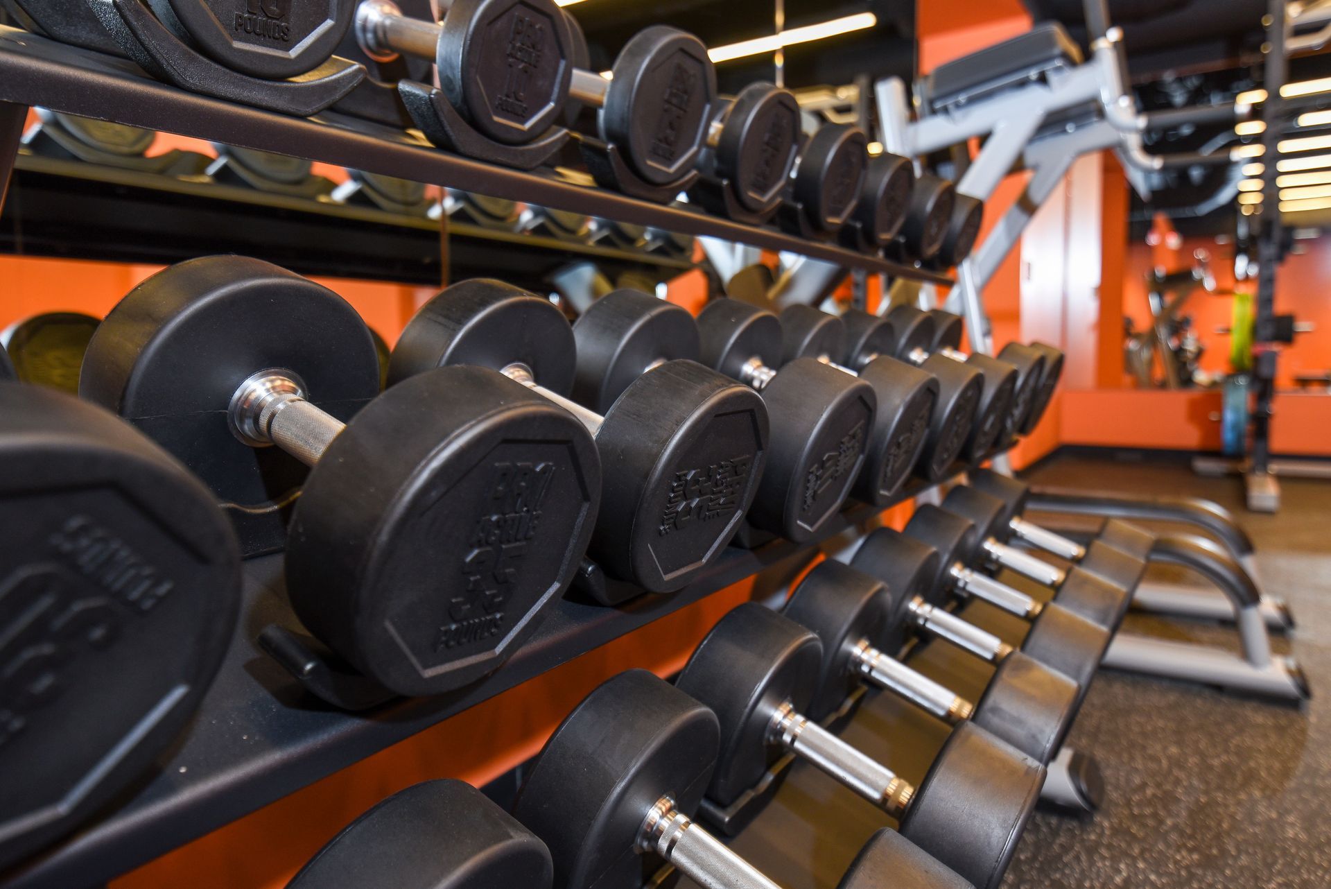 Black dumbbells neatly arranged on a rack in a gym setting. Orange wall in background at Glenmont Station in Silver Spring, MD.